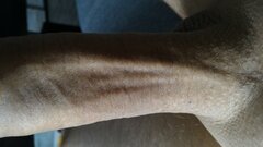 .P_20190916_120049.jpg