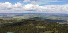IMG_20200501_135736.jpg