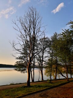 20200501_200018.jpg