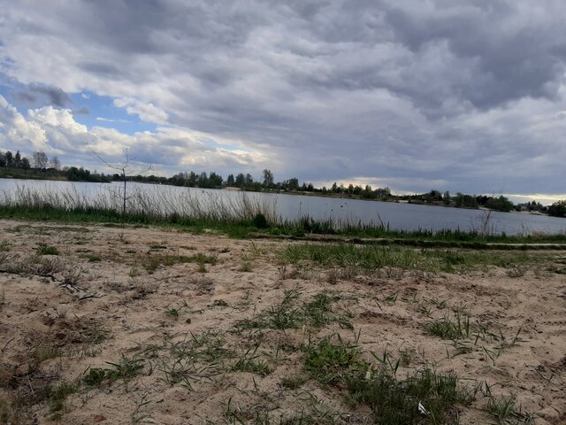 pelnipokuss