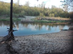 IMG_20200502_185639.jpg
