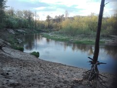 IMG_20200502_185630.jpg