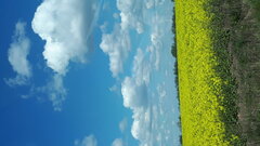 20200504_121124.jpg