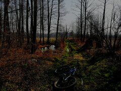 IMG_20200504_171238.jpg