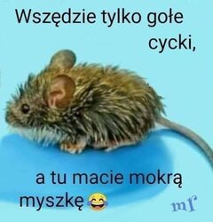 FB_IMG_1588656286037.jpg