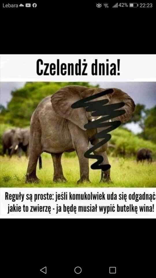 FB_IMG_1588691894443.jpg - As_U_wish
