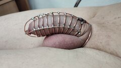 IMG_20200506_064739_1.jpg