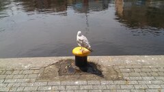20190611_121945.jpg