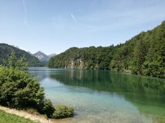 IMG_20190614_120640.jpg
