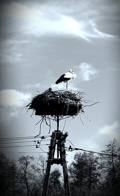 20200508_092727.jpg