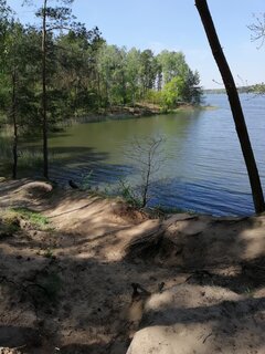 IMG_20200508_122721.jpg