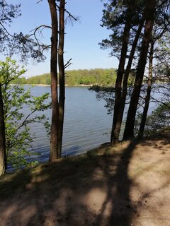 IMG_20200508_122706.jpg