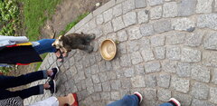 20180907_151202.jpg