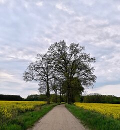 20200510_192102.jpg