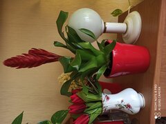 IMG_20200508_074030.jpg