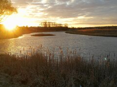 IMG_20200425_193452.jpg
