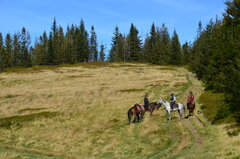 DSC_9119.JPG