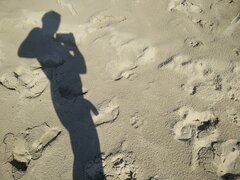 IMG_20170801_160803.jpg