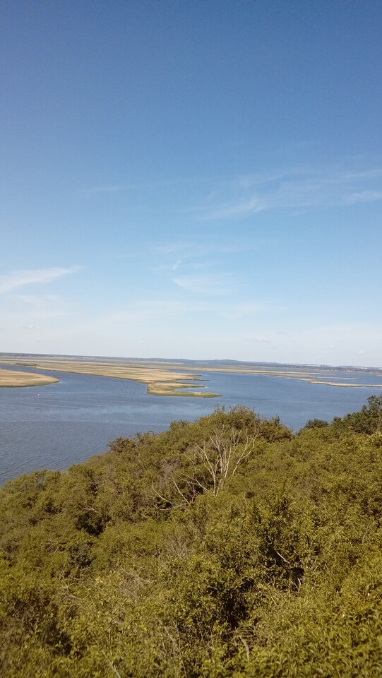 20190609_105316.jpg - nocna_para