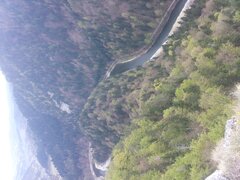 20200428_152105.jpg