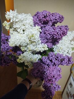 IMG_20200513_203419140.jpg