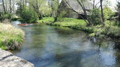 IMG_20200509_124637.jpg