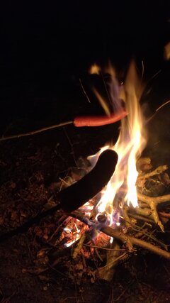 IMG_20200508_214109.jpg