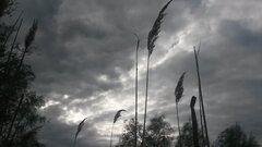 20200516_174007.jpg