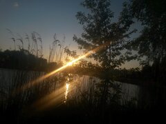 20200514_200650.jpg