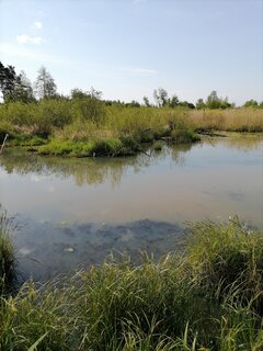 IMG_20200517_091134.jpg