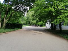 IMG_20200517_162545.jpg