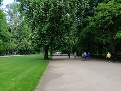 IMG_20200517_162722.jpg