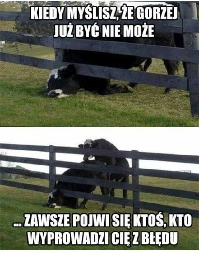 FajnyMasazysta28