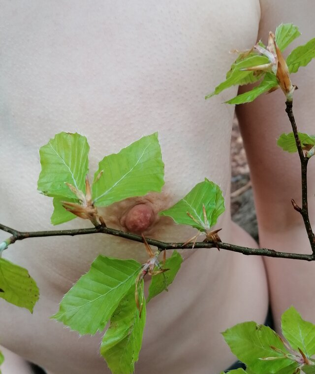 pparaa69