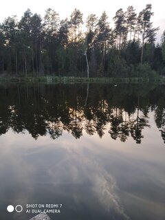 IMG_20200518_192238.jpg