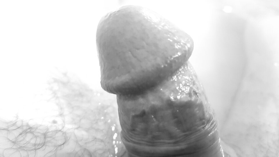 20200519_045831.jpg - pitupitu00