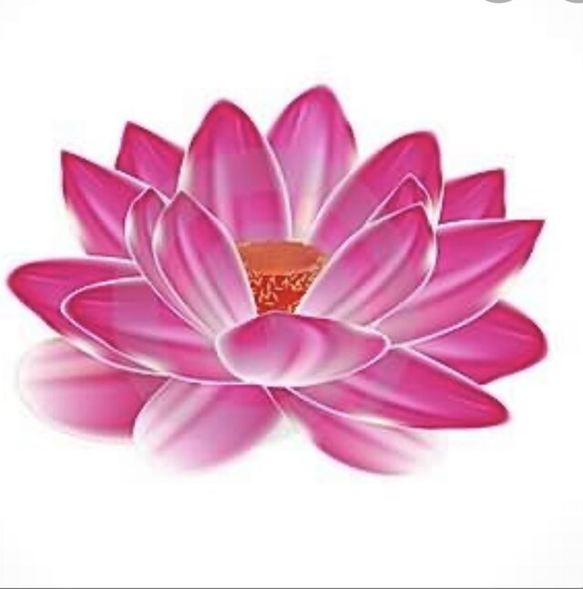 WaterLily