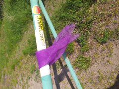 20200520_161756.jpg