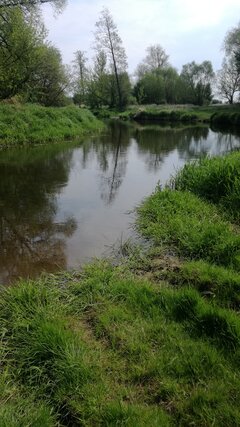 IMG_20200517_111211.jpg