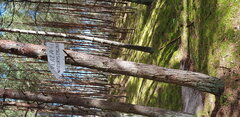 Tęsknimy za swobodnym opalaniem się 😉