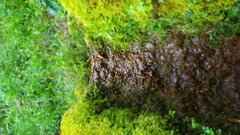 20190818_131908.jpg
