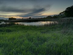 IMG_20200524_210905.jpg