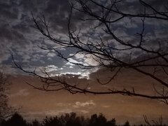 20200507_215003.jpg
