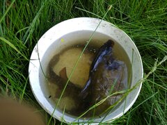 IMG_20190624_160413701.jpg