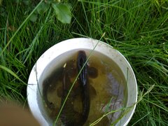 IMG_20190624_160410105.jpg