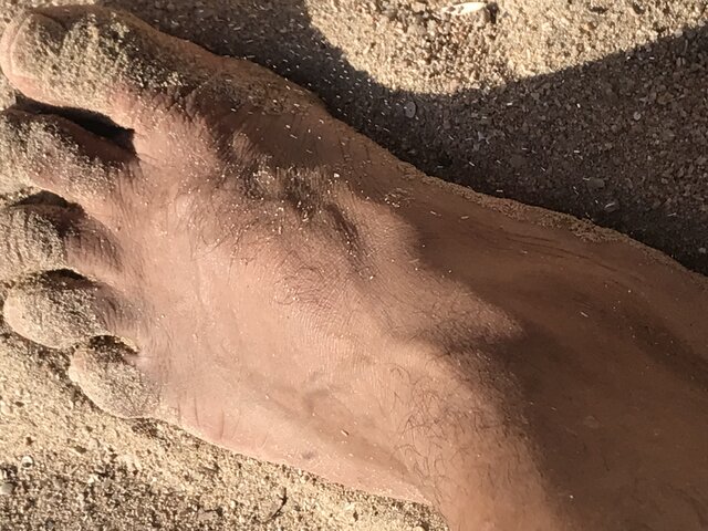 desertman
