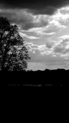 20200528_153407.jpg