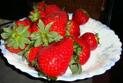 DSC07388.JPG