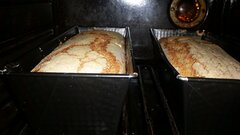 20200511_220821.jpg