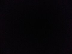 1590764504471-443285632.jpg